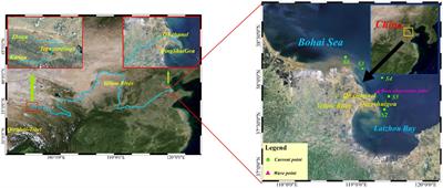 Study on the response mechanism of the Yellow River delta region to the cold wave process